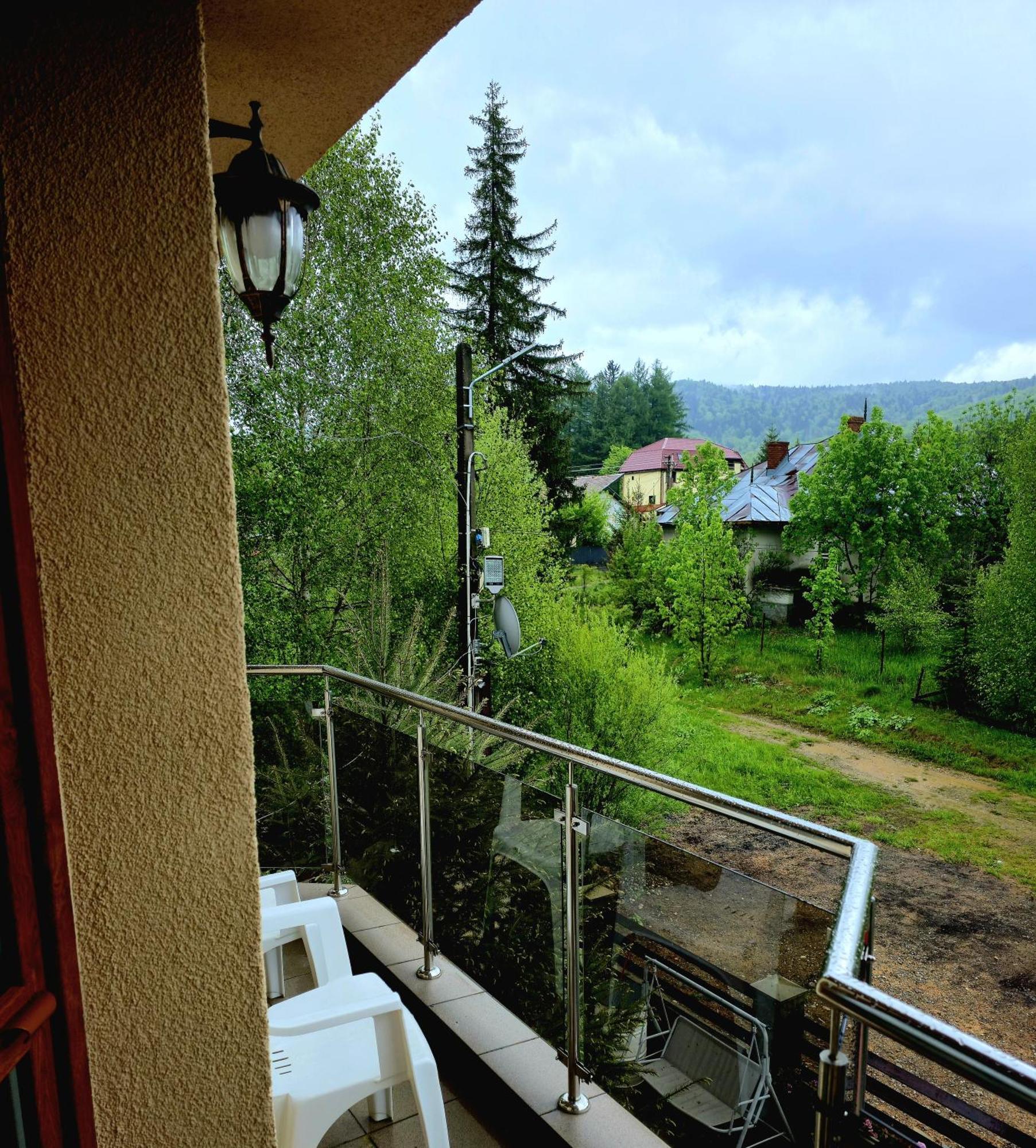 Guest house Pensiunea Alex